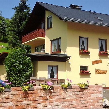 Ferienwohnung Sonnentraum - Appartement 5 Willingen Willingen  Bagian luar foto
