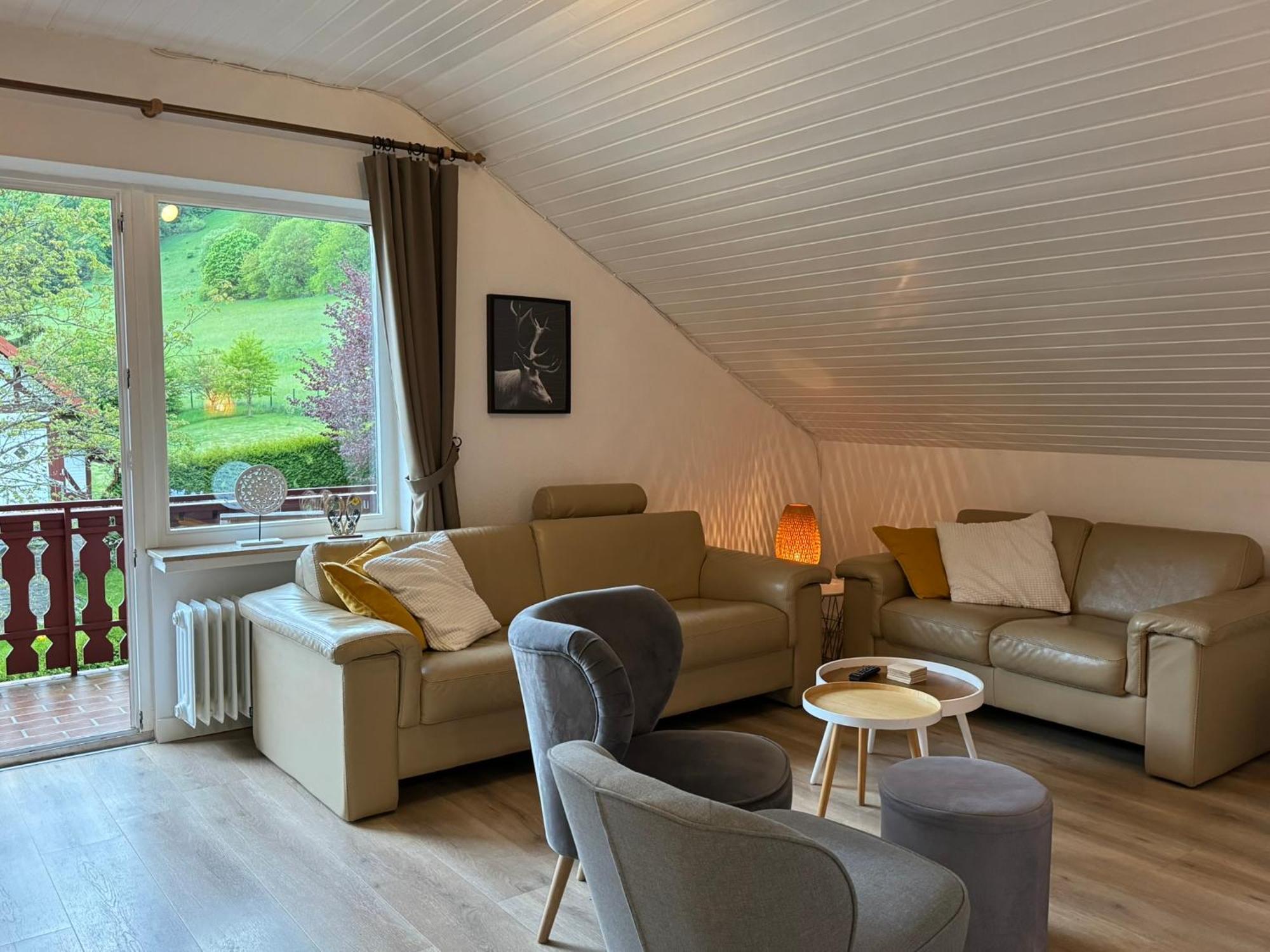 Ferienwohnung Sonnentraum - Appartement 5 Willingen Willingen  Bagian luar foto
